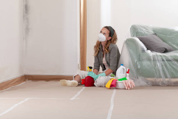 Reliable Mold Cleanup contractor in Westfield, NJ by Cheap Mold Removal